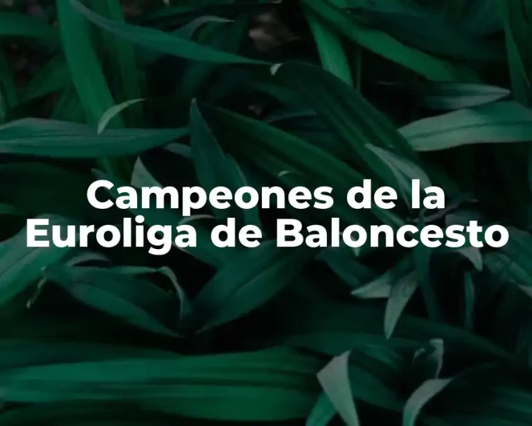 Campeones de la Euroliga de Baloncesto