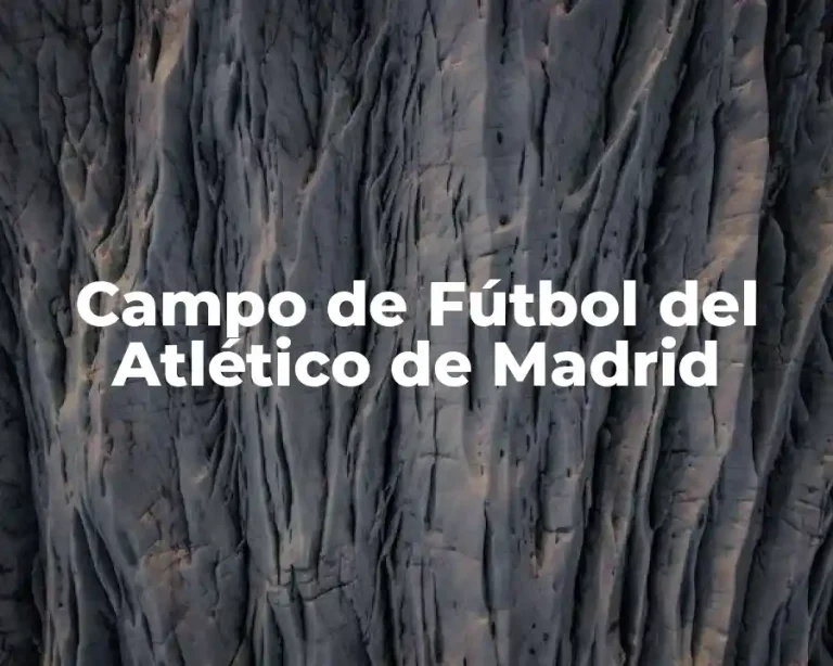 Campo de Fútbol del Atlético de Madrid
