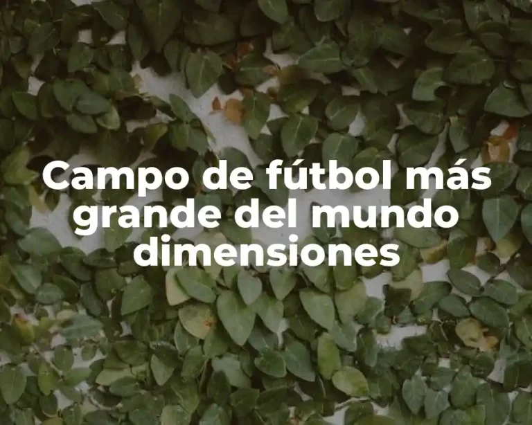 Campo de fútbol más grande del mundo dimensiones