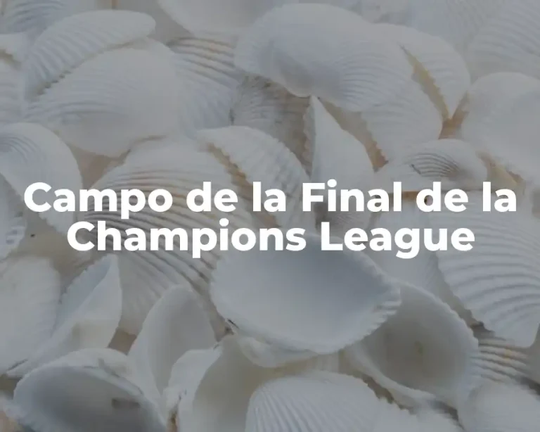 Campo de la Final de la Champions League