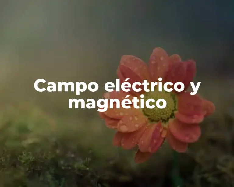 Campo eléctrico y magnético