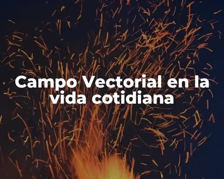 Campo Vectorial en la vida cotidiana