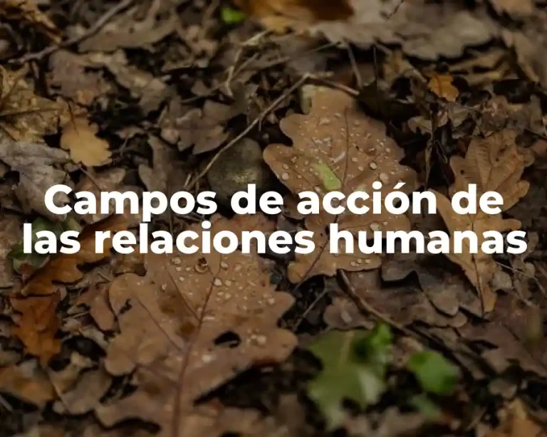 Campos de acción de las relaciones humanas