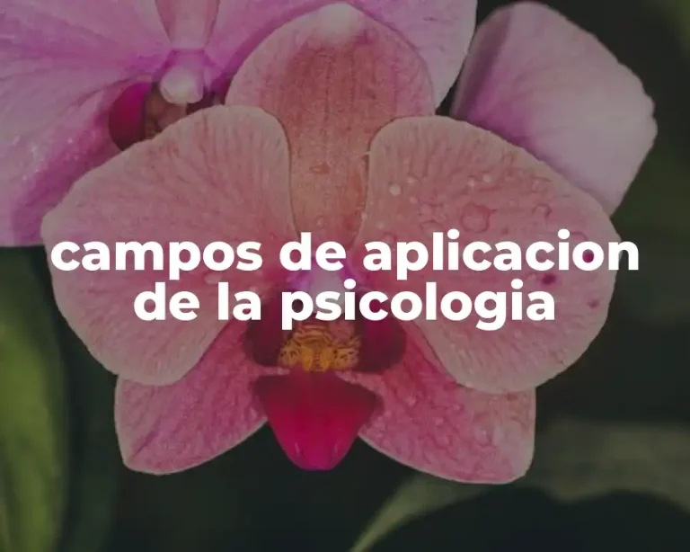 campos de aplicacion de la psicologia