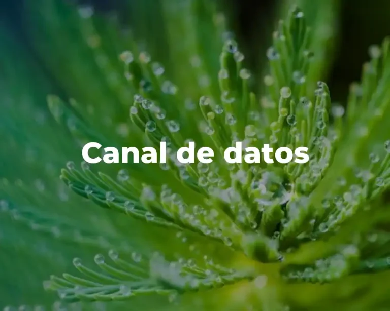 Canal de datos