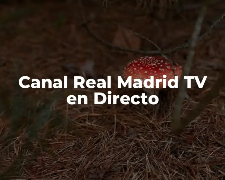 Canal Real Madrid TV en Directo