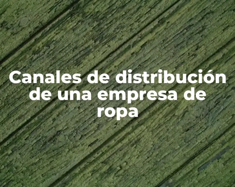 Canales de distribución de una empresa de ropa