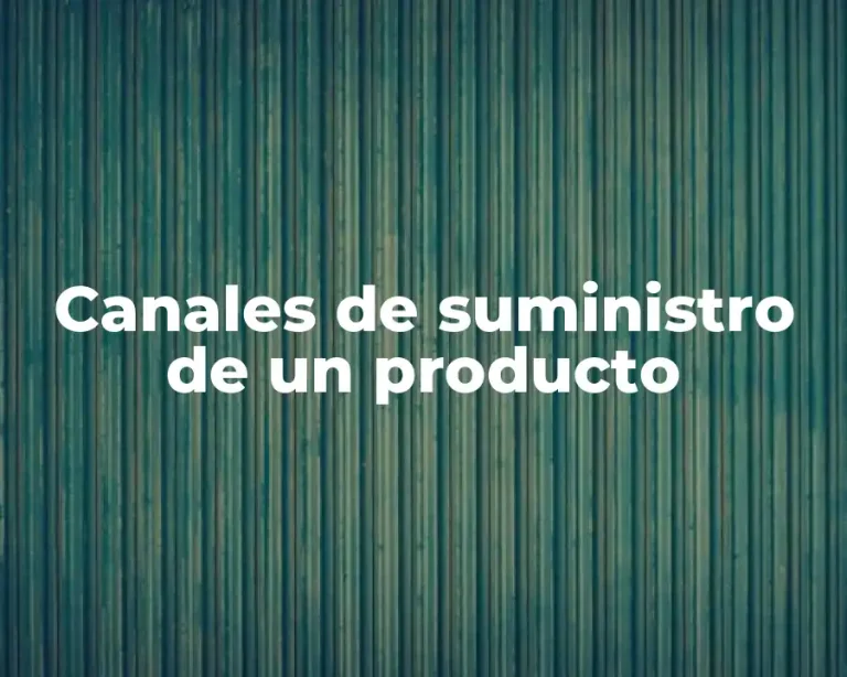 Canales de suministro de un producto