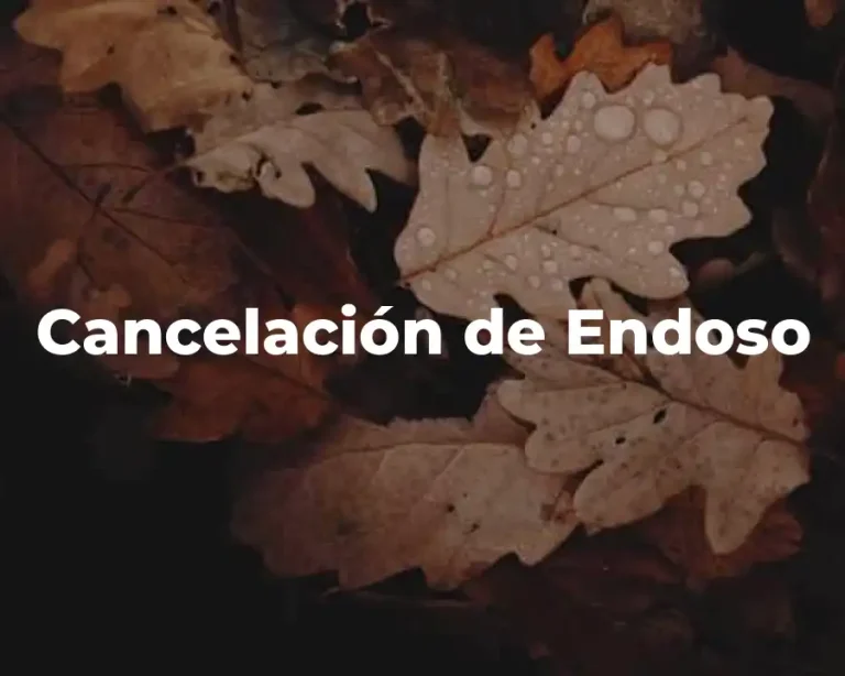 Cancelación de Endoso