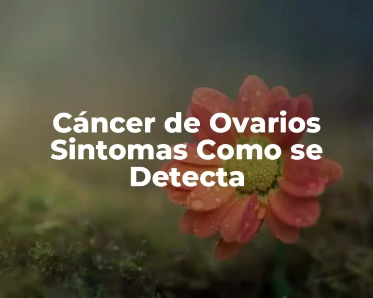 Cáncer de Ovarios Sintomas Como se Detecta