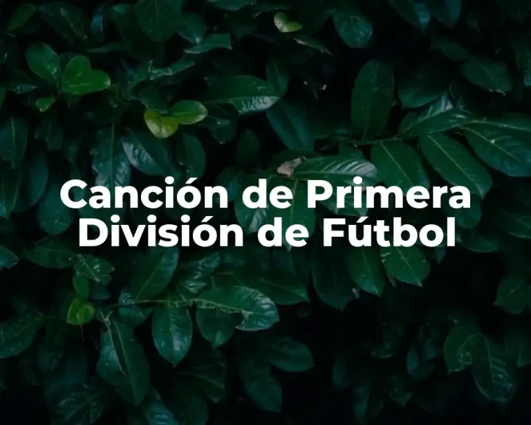 Canción de Primera División de Fútbol