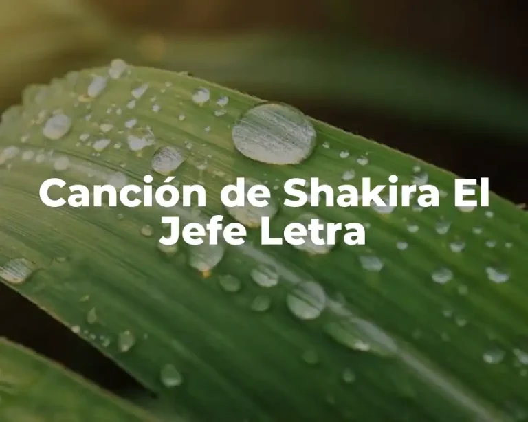 Canción de Shakira El Jefe Letra