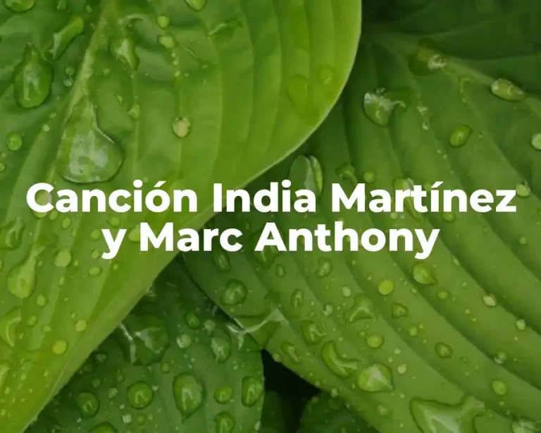 Canción India Martínez y Marc Anthony