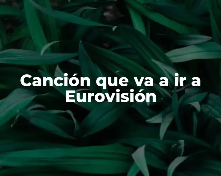 Canción que va a ir a Eurovisión