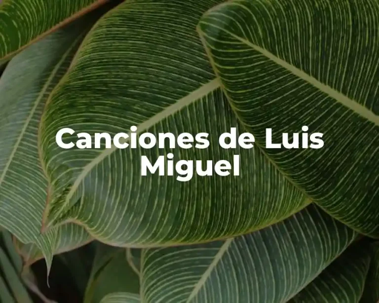 Canciones de Luis Miguel
