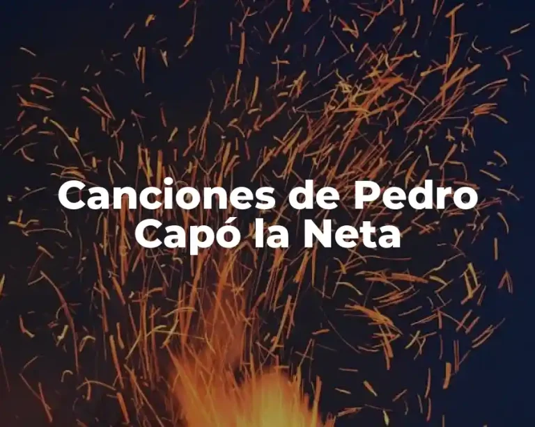Canciones de Pedro Capó la Neta