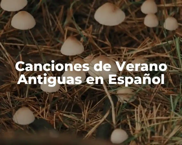 Canciones de Verano Antiguas en Español