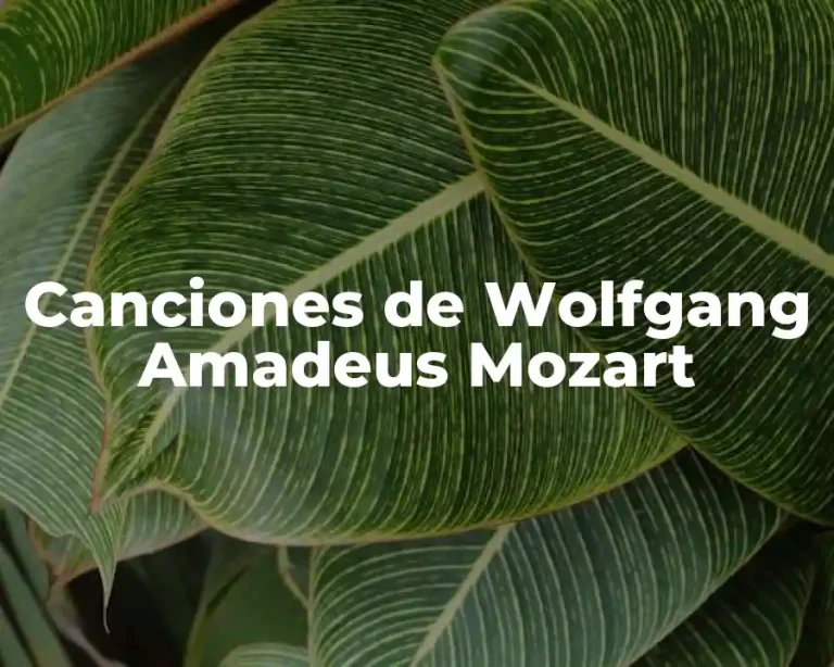 Canciones de Wolfgang Amadeus Mozart