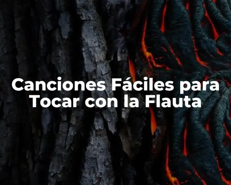 Canciones Fáciles para Tocar con la Flauta