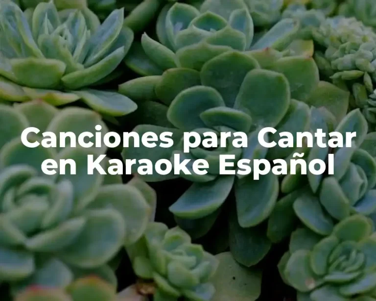 Canciones para Cantar en Karaoke Español
