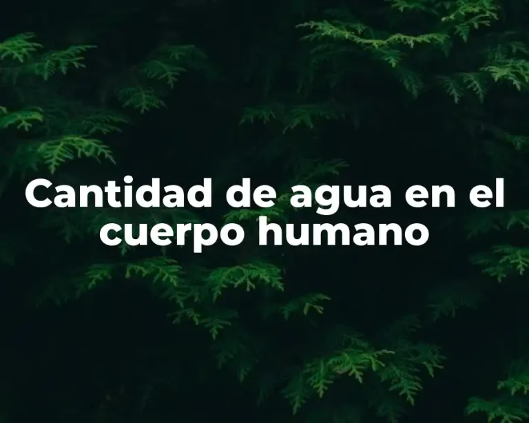 Cantidad de agua en el cuerpo humano