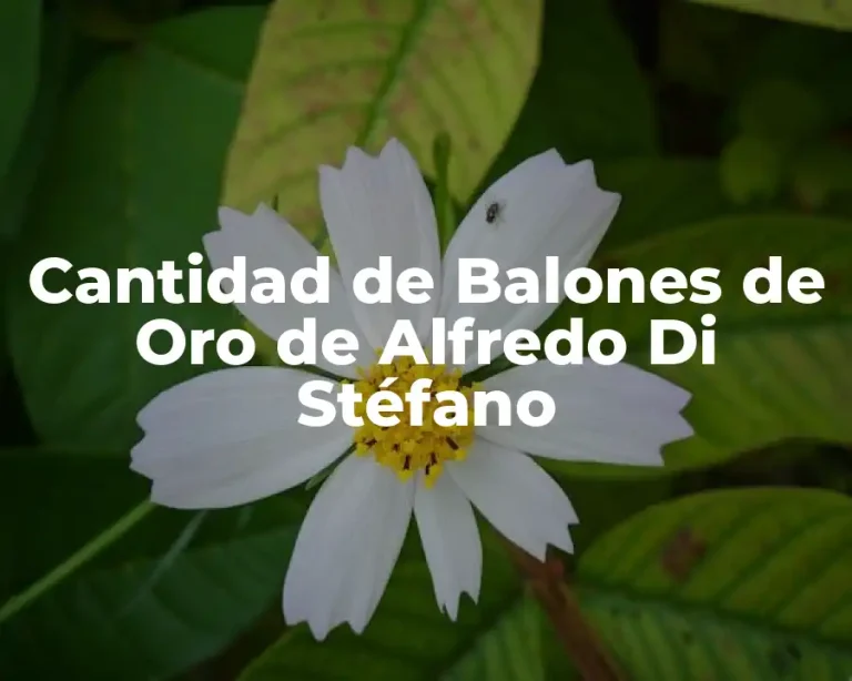 Cantidad de Balones de Oro de Alfredo Di Stéfano