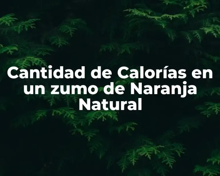 Cantidad de Calorías en un zumo de Naranja Natural