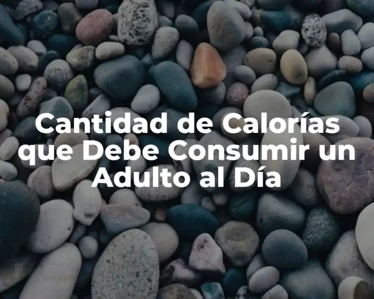 Cantidad de Calorías que Debe Consumir un Adulto al Día