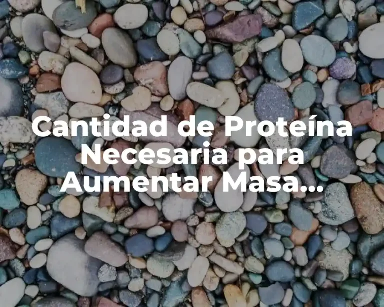 Cantidad de Proteína Necesaria para Aumentar Masa Muscular