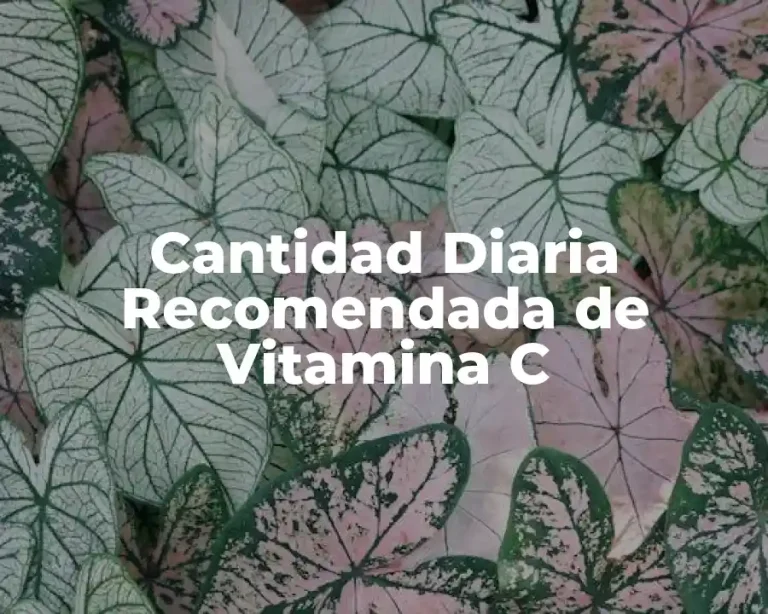 Cantidad Diaria Recomendada de Vitamina C