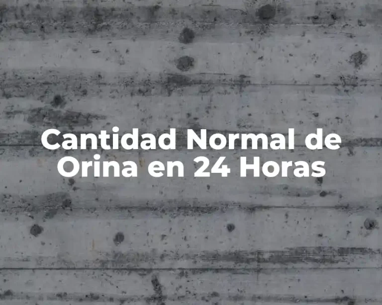 Cantidad Normal de Orina en 24 Horas