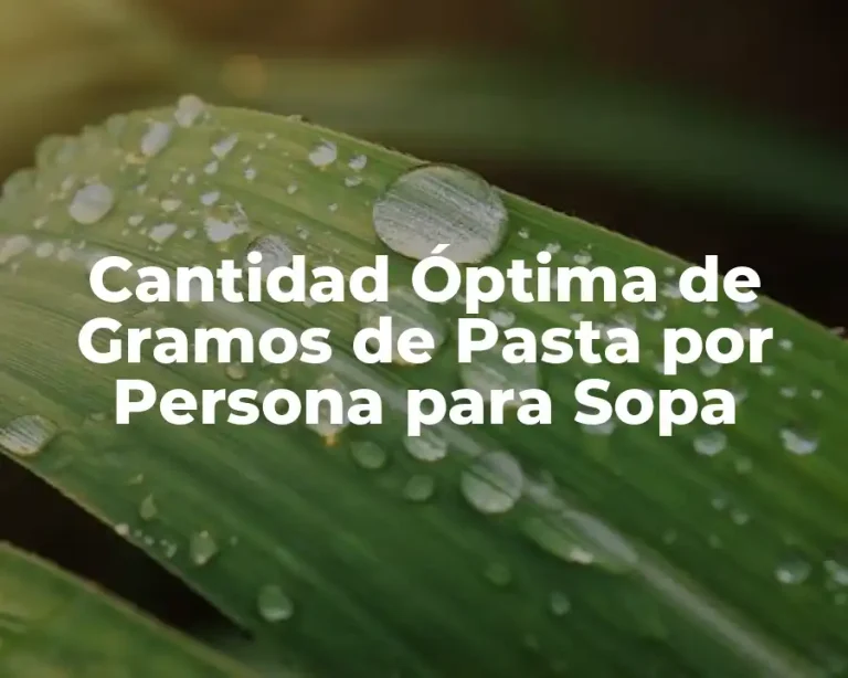 Cantidad Óptima de Gramos de Pasta por Persona para Sopa
