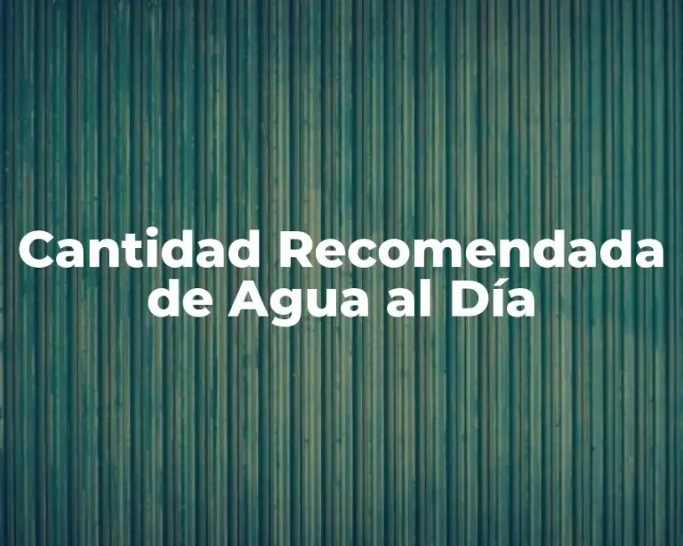 Cantidad Recomendada de Agua al Día