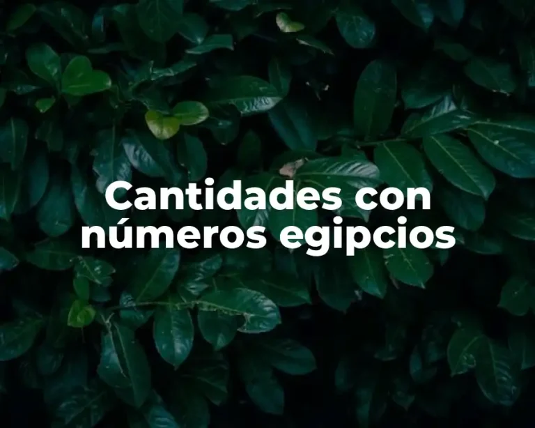 Cantidades con números egipcios