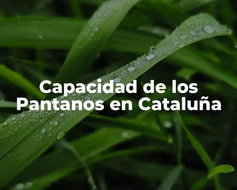 Capacidad de los Pantanos en Cataluña