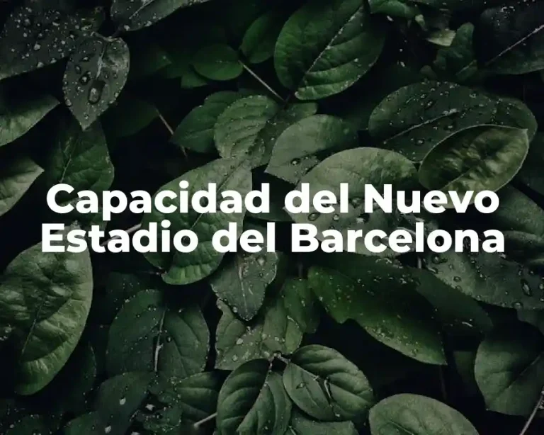 Capacidad del Nuevo Estadio del Barcelona