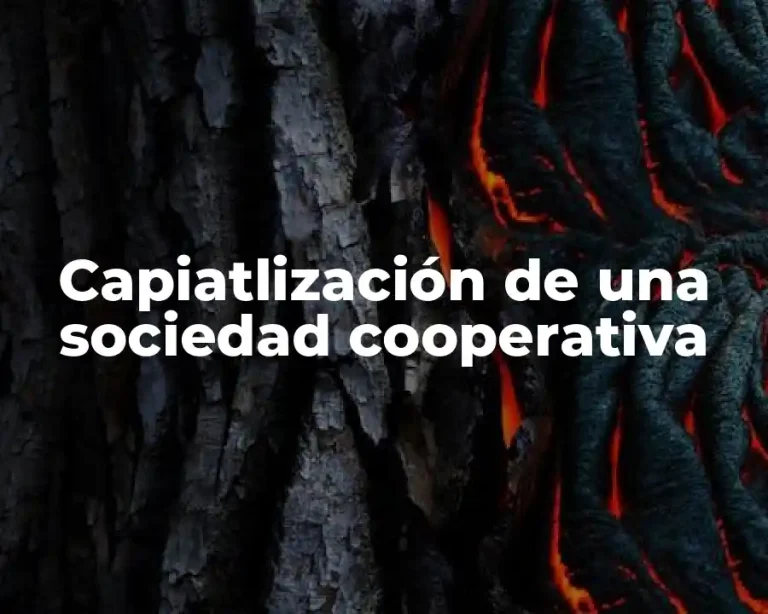 Capiatlización de una sociedad cooperativa
