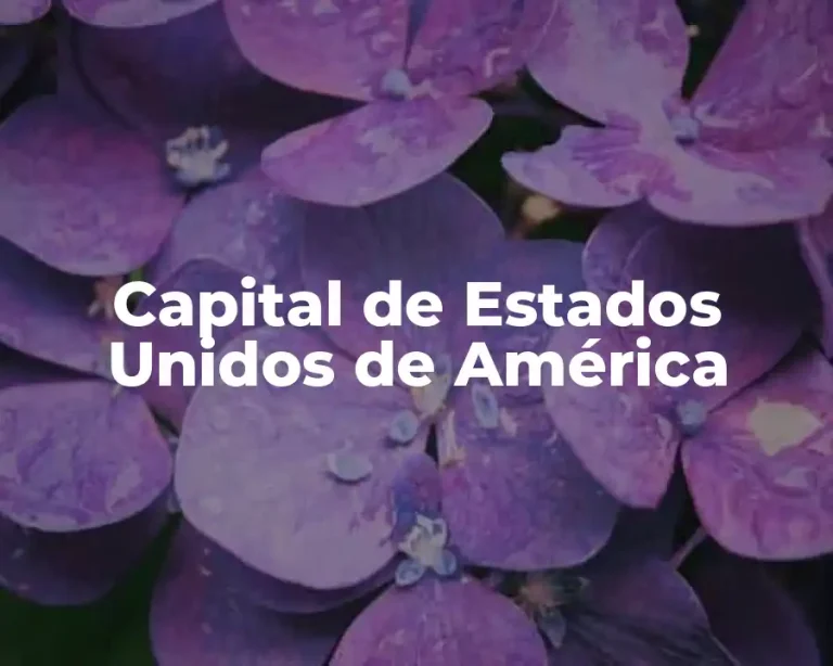 Capital de Estados Unidos de América