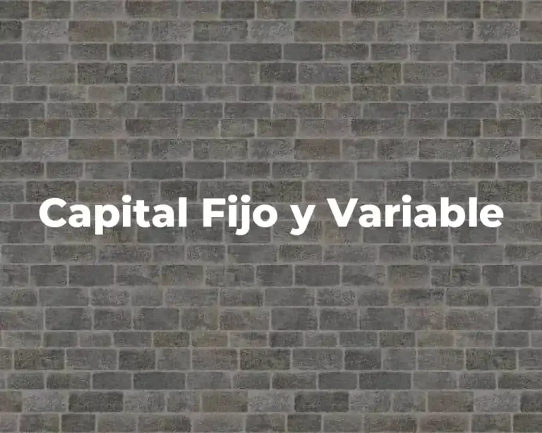 Capital Fijo y Variable