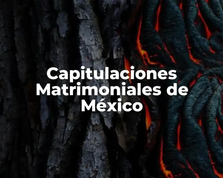 Capitulaciones Matrimoniales de México