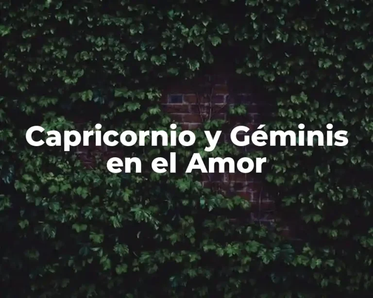Capricornio y Géminis en el Amor