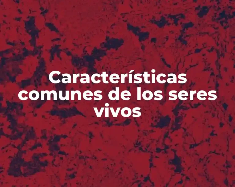 Características comunes de los seres vivos