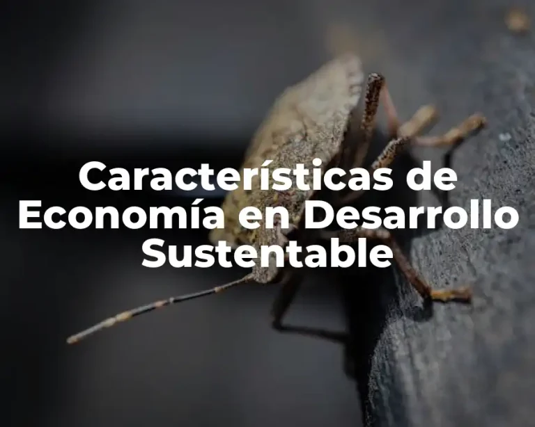 Características de Economía en Desarrollo Sustentable