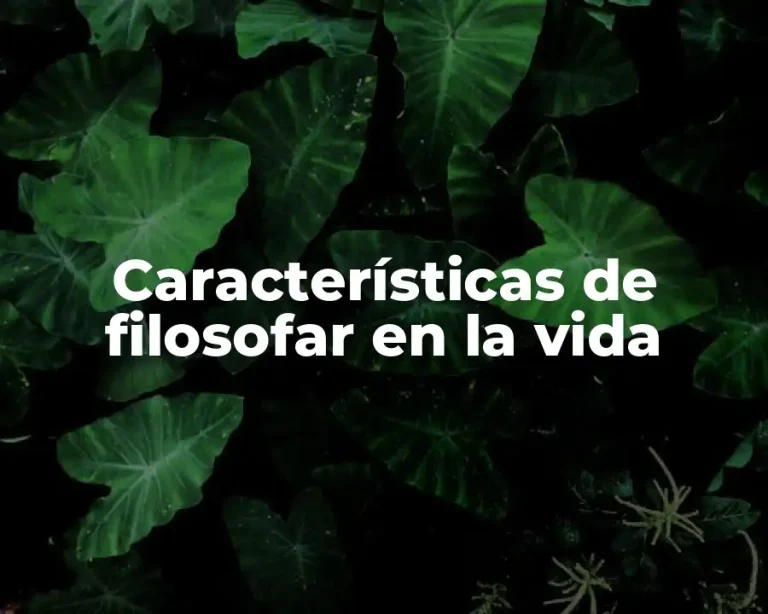 Características de filosofar en la vida