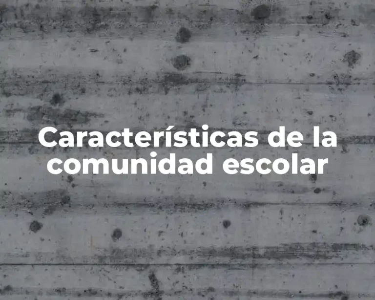 Características de la comunidad escolar