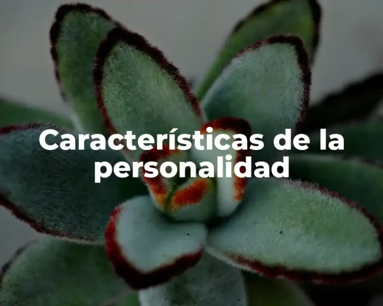 Características de la personalidad