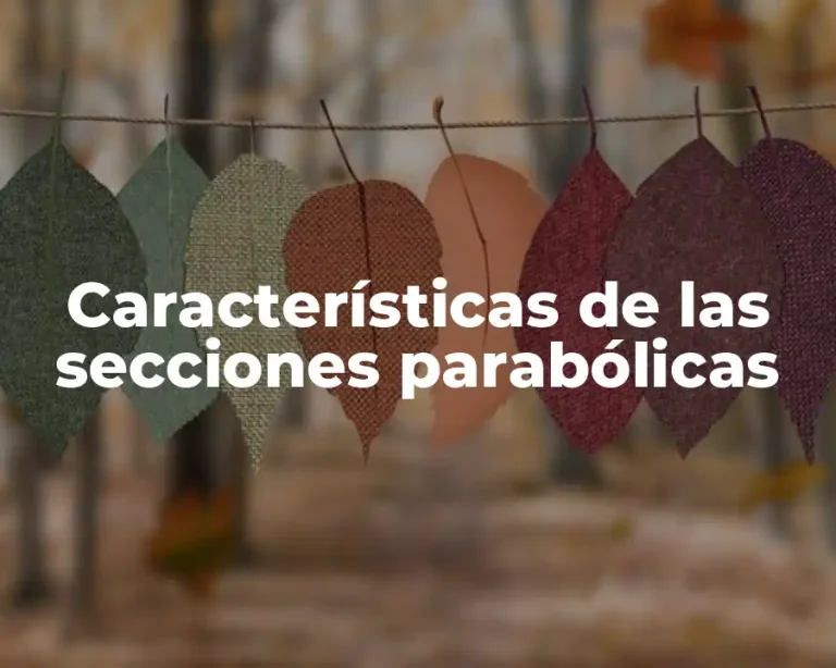 Características de las secciones parabólicas