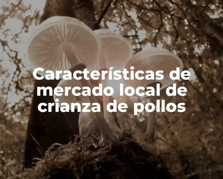 Características de mercado local de crianza de pollos
