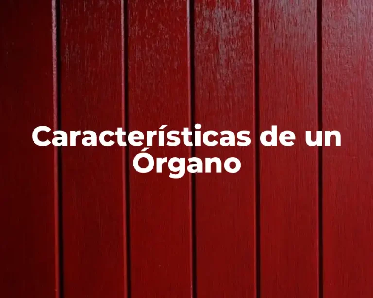 Características de un Órgano
