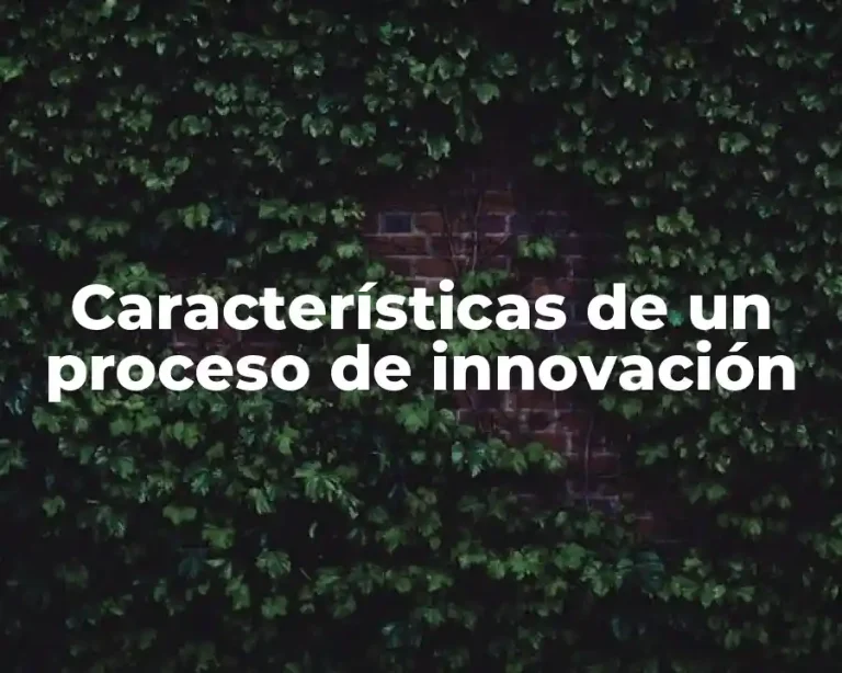 Características de un proceso de innovación